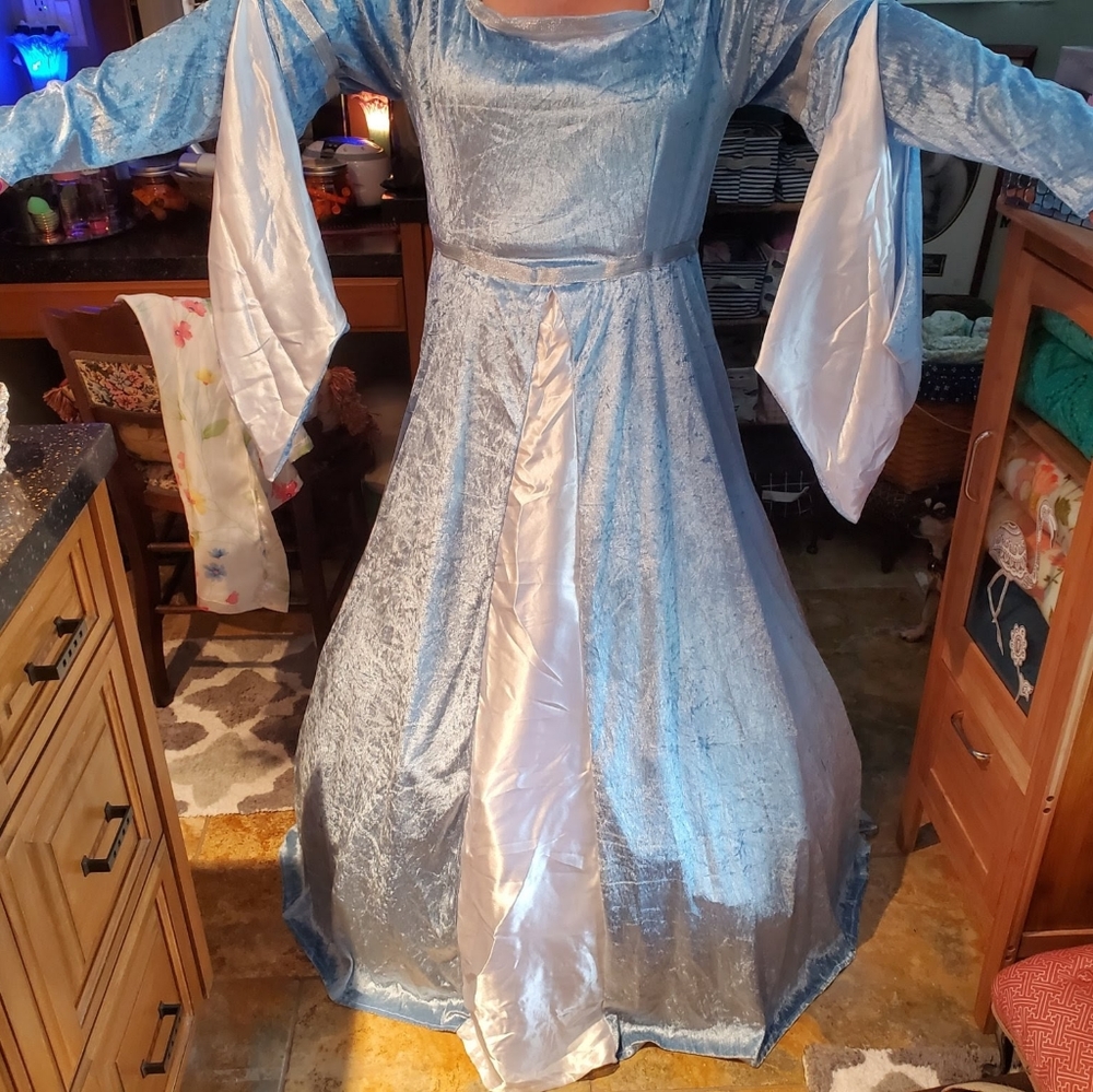 Costume - Picture 2 of 2
